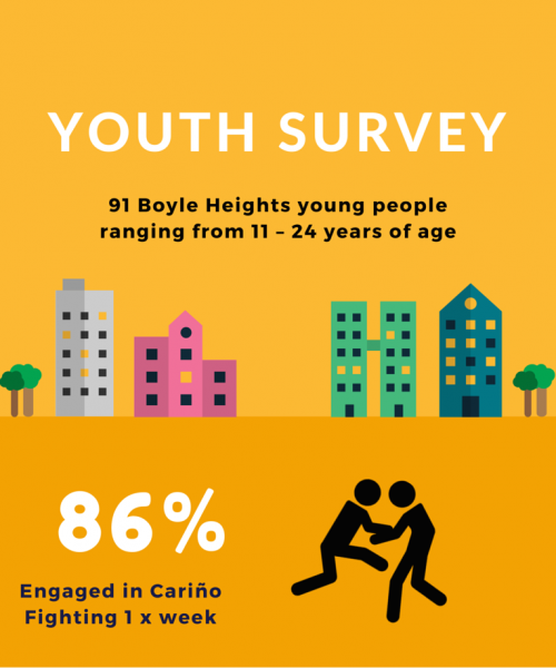 Youth survey
